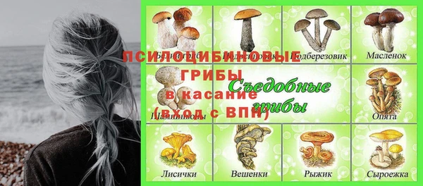 прущие грибы Балахна