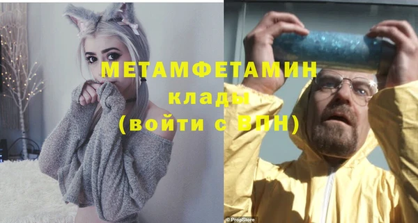 прущие грибы Богородск