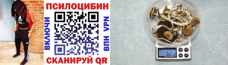 Купить закладки  Семёнов  Псилоцибиновые грибы Psilocybine cubensis 